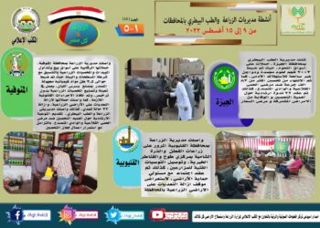 مركز المعلومات الصوتية