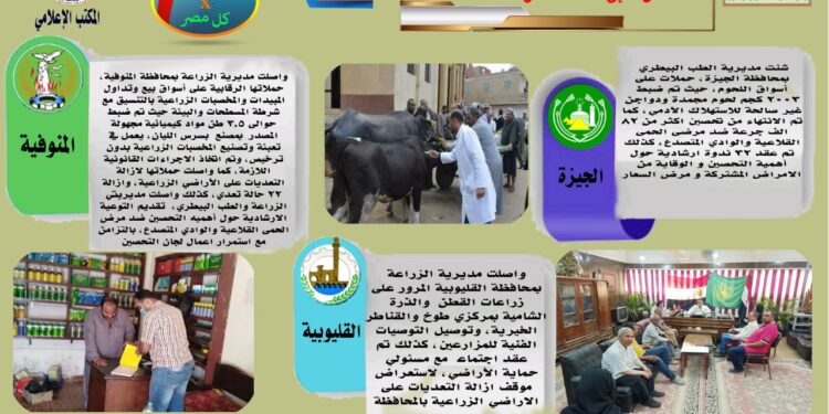 مركز المعلومات الصوتية يصدر نشرته الـ54 عن أنشطة المديريات 1 مركز المعلومات الصوتية