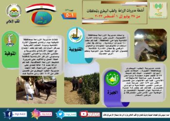 مركز المعلومات الصوتية