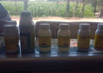 محلات مبيدات