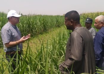 مكافحة الآفات