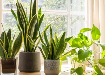 التغيرات المناخية