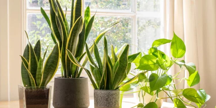 التغيرات المناخية