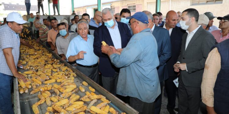 وزير الزراعة ومحافظ كفر الشيخ يتفقدان محطة البحوث الزراعية بسخا 1 وزير الزراعة