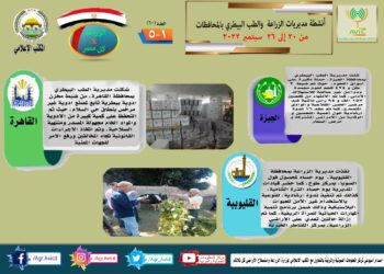 مركز المعلومات الصوتية