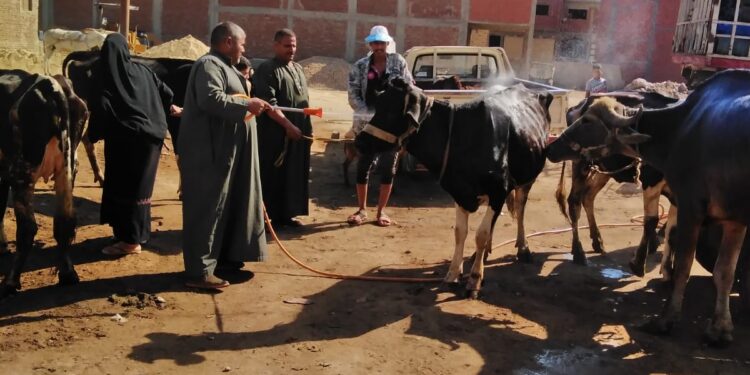 الطب البيطري بالغربية