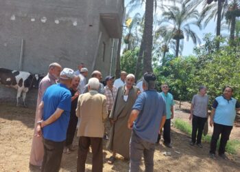 وقاية النباتات ينفذ برنامج تدريبي عن المكافحة المتكاملة لآفات النخيل بمحافظة البحيرة 