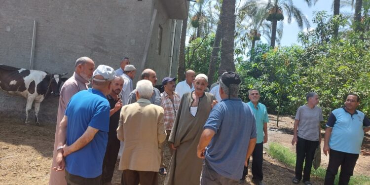 وقاية النباتات ينفذ برنامج تدريبي عن المكافحة المتكاملة لآفات النخيل بمحافظة البحيرة 