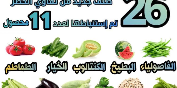 "أرقام في الزراعة".. عدد الأصناف الجديدة التي تم استنباطها من تقاوي الخضر 1 أرقام في الزراعة