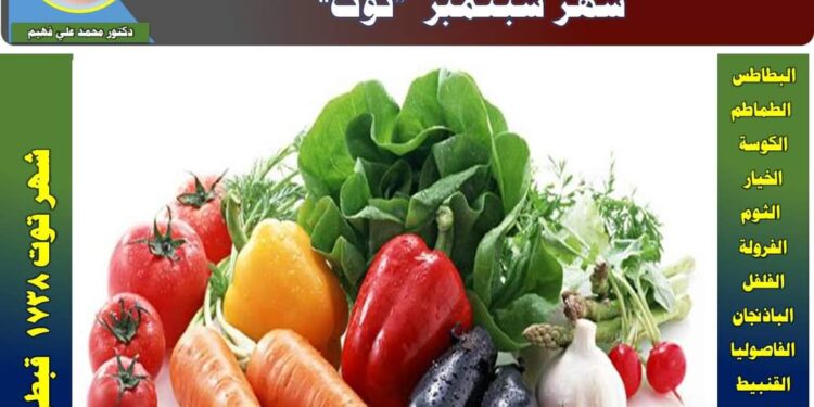 أجندة الفلاح خلال سبتمبر .. د.فهيم يوضح أهم الممارسات الزراعية للمحاصيل الزراعية 1 أجندة الفلاح