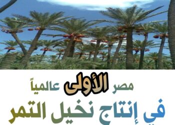 أرقام في الزراعة