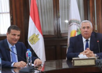 محصول القمح .. حوافز جديدة للمزارعين من الزراعة والبنك الزراعي