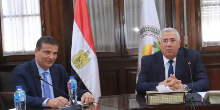 محصول القمح .. حوافز جديدة للمزارعين من الزراعة والبنك الزراعي 1 محصول القمح .. حوافز جديدة للمزارعين من الزراعة والبنك الزراعي
