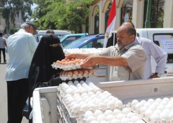 بيض المائدة