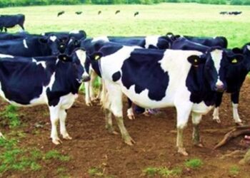 التغيرات المناخية