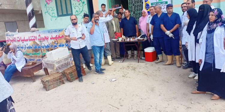 علاج وفحص أكثر من 2900 رأس ماشية مجانا لصغار المربين في قرى حياة كريمة بمحافظة دمياط 1 حياة كريمة
