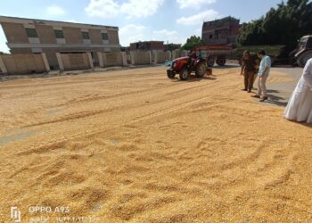 الزراعة التعاقدية