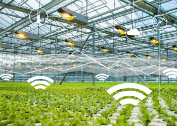 الزراعة الذكية