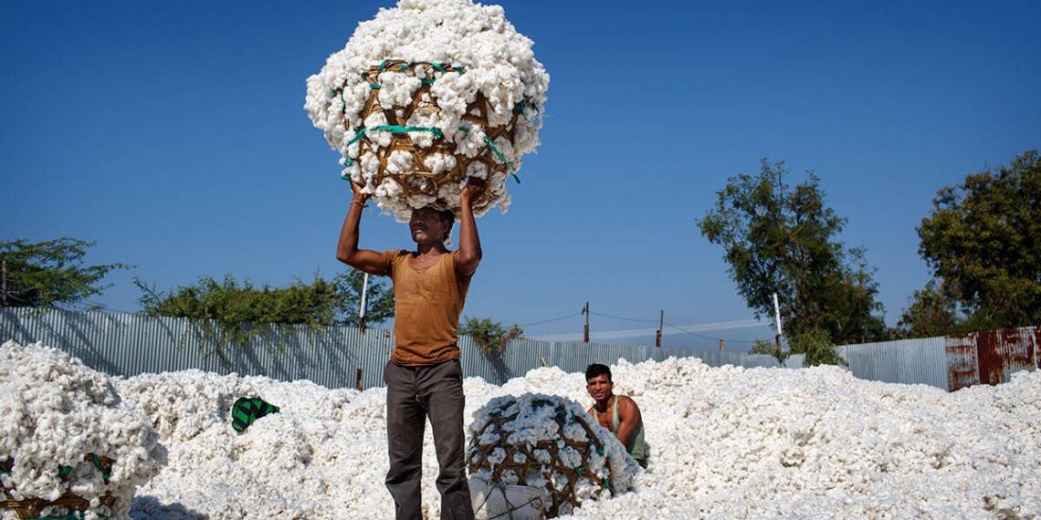 الزراعة التعاقدية