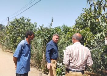 مكافحة الآفات