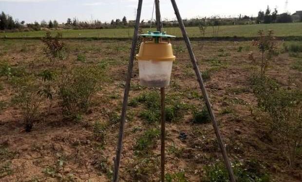 المصايد .. باحثة توضح أنواعها وآلية عملها لمكافحة الآفات 1 المصايد