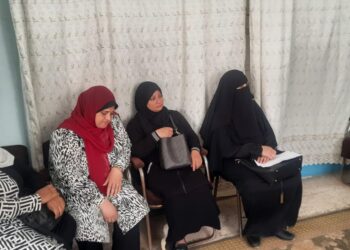 التربية الأمنة للدواجن