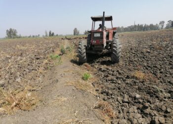 الحرث القماحي