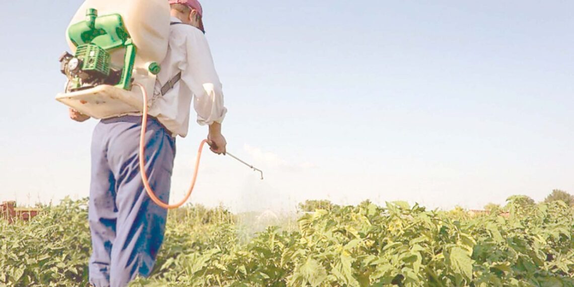 خلط البوتاسيوم والمبيدات.. "باحث" يكشف مدى صحة هذا الإجراء وأثره على القطن 1 خلط البوتاسيوم والمبيدات