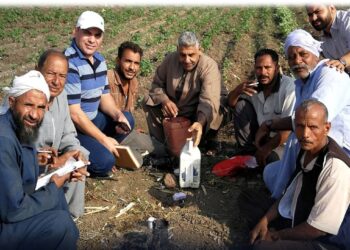 الموجة الحارة