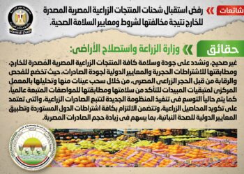 مجلس الوزراء