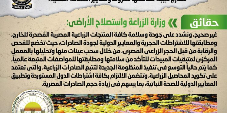 مجلس الوزراء ينفي شائعة رفض استقبال شحنات زراعية 1 مجلس الوزراء