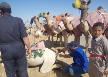 قافلة بيطرية مجانية