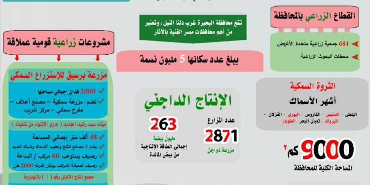 بمناسبة احتفالاتها بالعيد القومي.. "البحيرة ".. قاهرة الإنجليز ونشاط اقتصادي متنوع "انفوجراف" 1 البحيرة