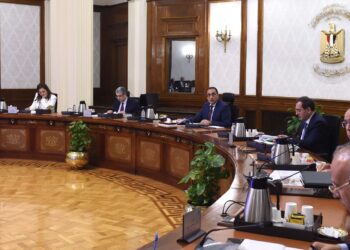 مشروع مستقبل مصر