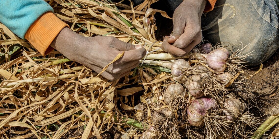 طرق التخزين