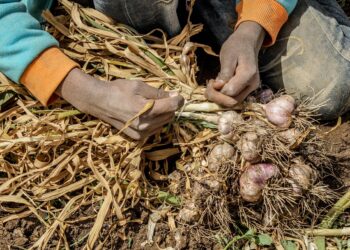 طرق التخزين