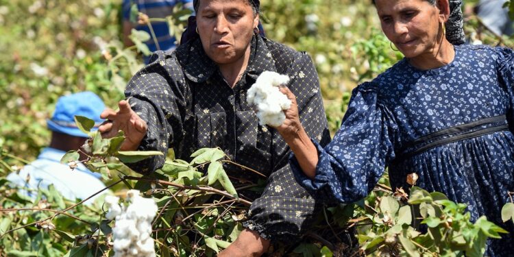 عيد الفلاح.. "مجلس الوزراء" يوجه التهنئة لمُزارعي مصر 1 عيد الفلاح