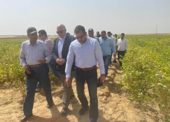 مشروع مستقبل مصر