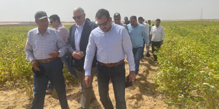 وزير الزراعة يزور مشروع مستقبل مصر ويشاهد حصاد فول الصويا وسيلاج الذرة 1 مشروع مستقبل مصر