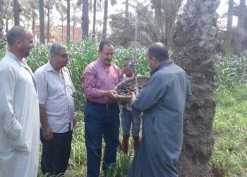 وزارة الزراعة تستعرض ملخصا بأنشطة “المركزي للنخيل”