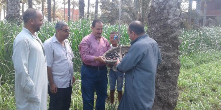 وزارة الزراعة تستعرض ملخصا بأنشطة “المركزي للنخيل”