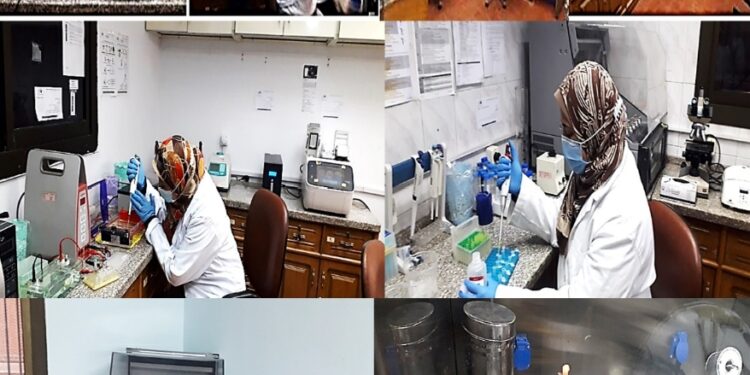مدير معهد أمراض النباتات يعلن اعتماد الايجاك لمعمل تشخيص الفيروسات 1 معهد أمراض النباتات