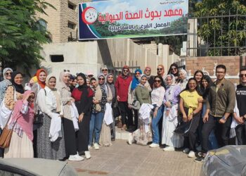 معهد الصحة الحيوانية