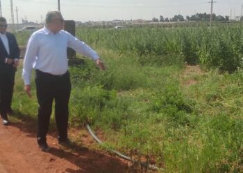 وزير الزراعة