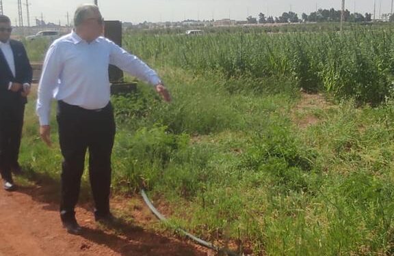 وزير الزراعة يقوم بزيارة مفاجئة للمحطة البحثية بالإسماعيلية ويوجه برفع كفاءتها خلال شهر 1 وزير الزراعة