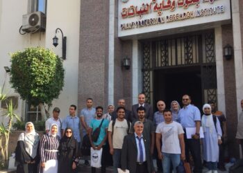 آفات الموالح