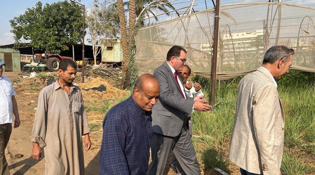 مستشار وزير الزراعة يتفقد موقعي الزراعات المحمية بالدقي والهرم 1 الزراعات المحمية