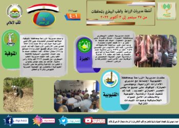 مركز المعلومات الصوتية
