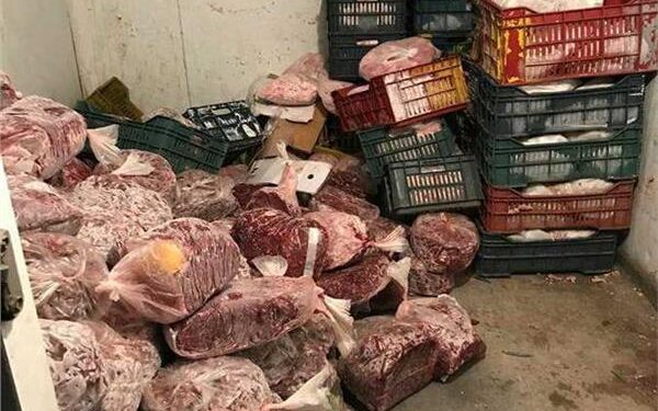"الزراعة": ضبط أكثر من 151 طن لحوم وأسماك غير صالحة للاستهلاك خلال شهر ديسمبر 1 الزراعة