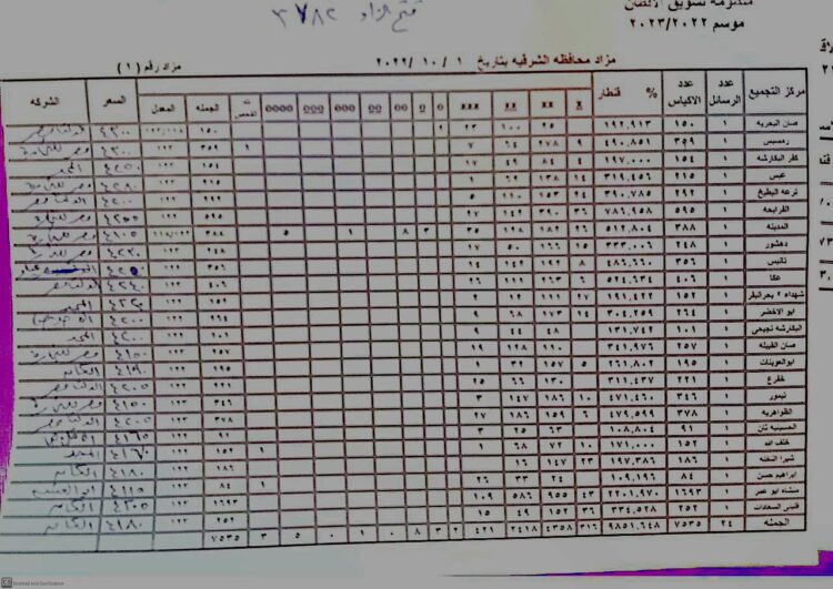 سعر قنطار القطن 4300 جنيه في مزاد الشرقية اليوم